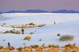 White Sands_32082